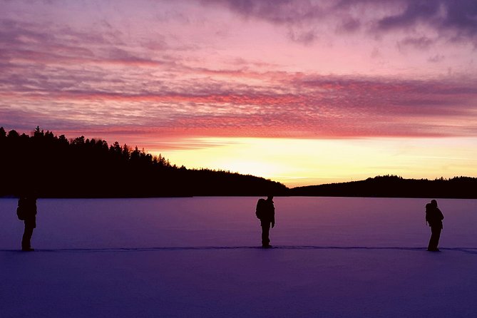Snowshoe Winter Hike from Stockholm - Learning snowshoes, cleats, and forest etiquette