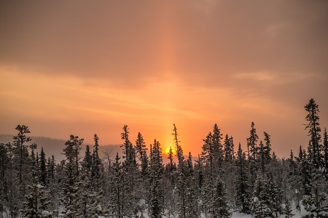 Snowshoe Winter Hike from Stockholm - Who will enjoy this outing most?