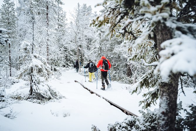 Snowshoe Winter Hike from Stockholm - A steady hike through Swedish winter scenery