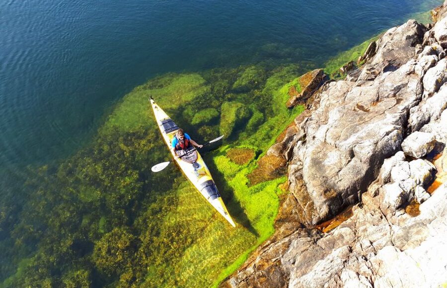 Stockholm: 1, 2, or 3-Day Kayaking Tour in the Archipelago - Price and overall value at $230