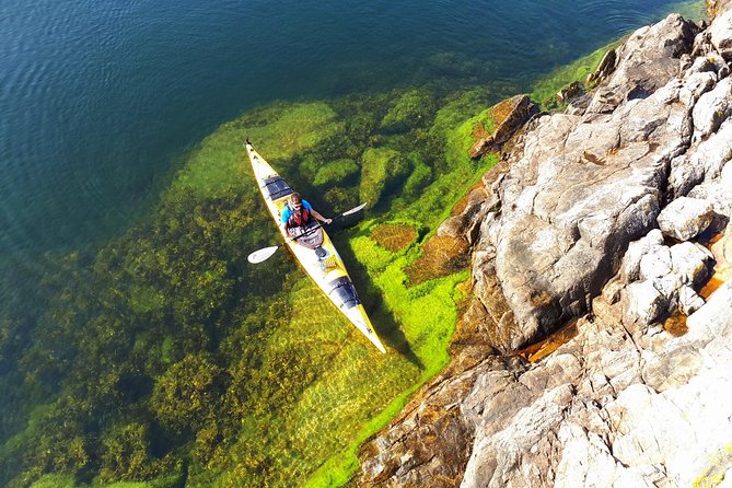 Stockholm Archipelago Kayaking Day Tour - Key points to know before booking