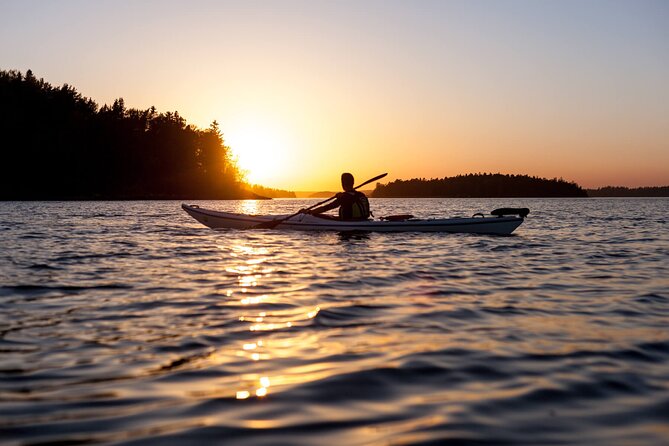 Stockholm Archipelago Sunset Kayaking and Fika tour - Key points to know before you book