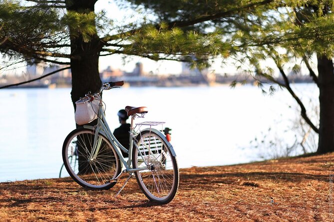 Stockholm Bike Tour - Why a bicycle is a smart way to see Stockholm