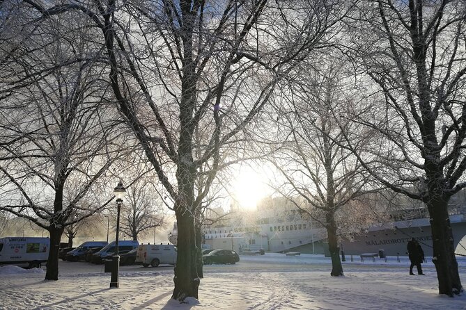 Stockholm Christmas Tour and Food Tasting Experience - Moose lights and a walk toward Nybroplan