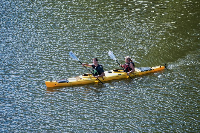 Stockholm City Evening Kayak Tour - The Swedish Midsummer meal