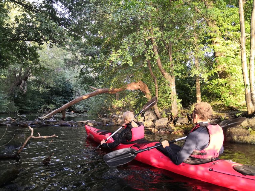 Stockholm Evening Kayak with BBQ. - What the guide adds, and where the tour is lighter