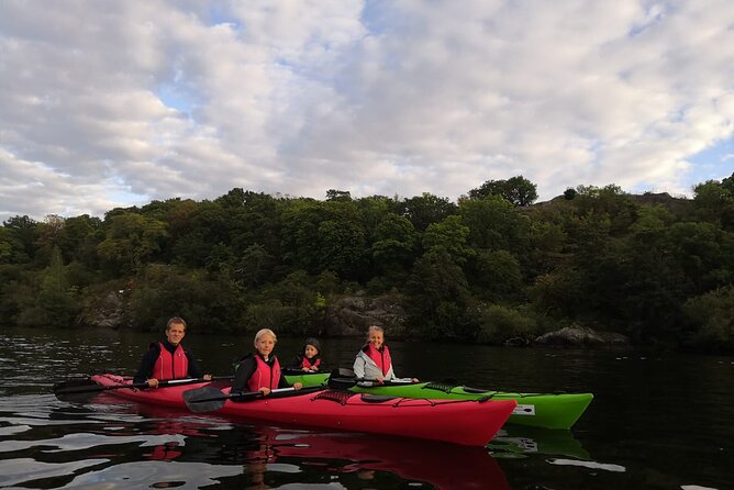 Stockholm Evening Kayak with BBQ - Small Group - Seeing Stockholm City Hall from the water