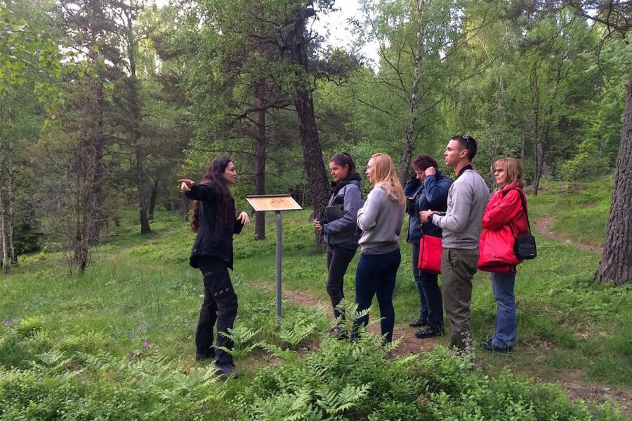 Stockholm: Evening Wildlife Safari with Midsummer Meal - What $177 includes, and whether it feels fair