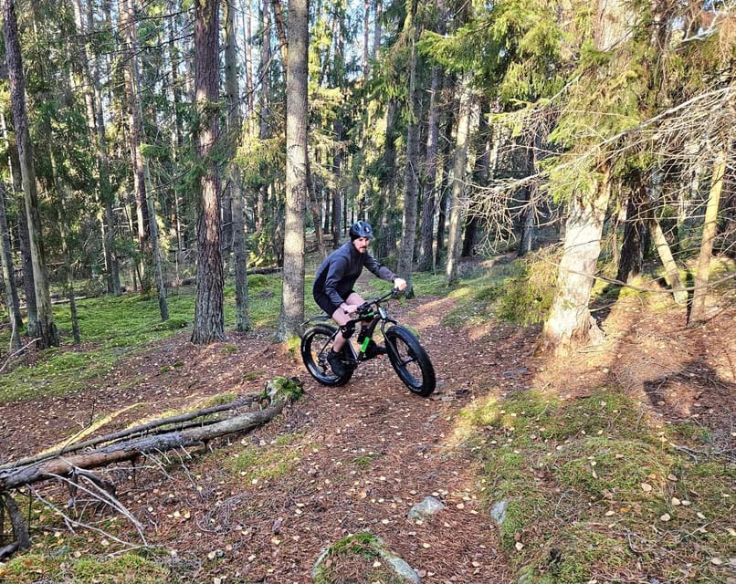 Stockholm: Fat Bike Forest Adventure with Lunch and Sauna - Who Will Enjoy This Ride Most