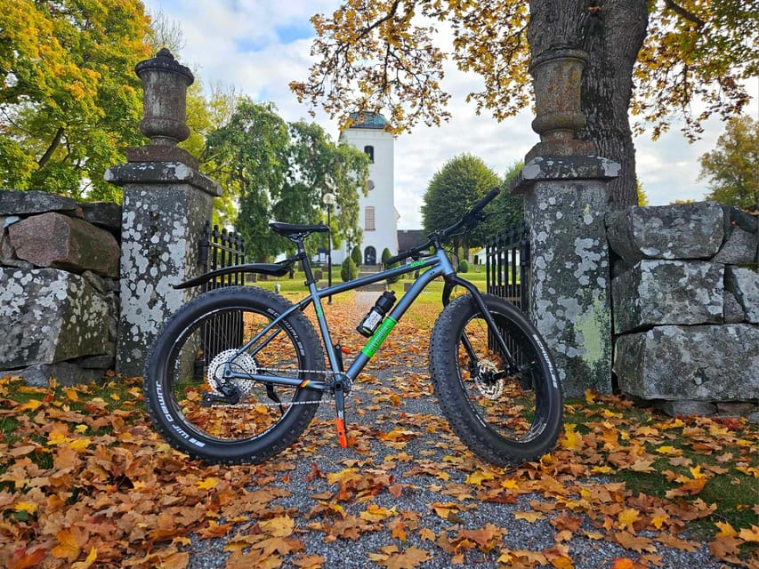 Stockholm: Fat Bike Forest Adventure with Lunch and Sauna - My Verdict: Book It for a Forest Day With Comfort