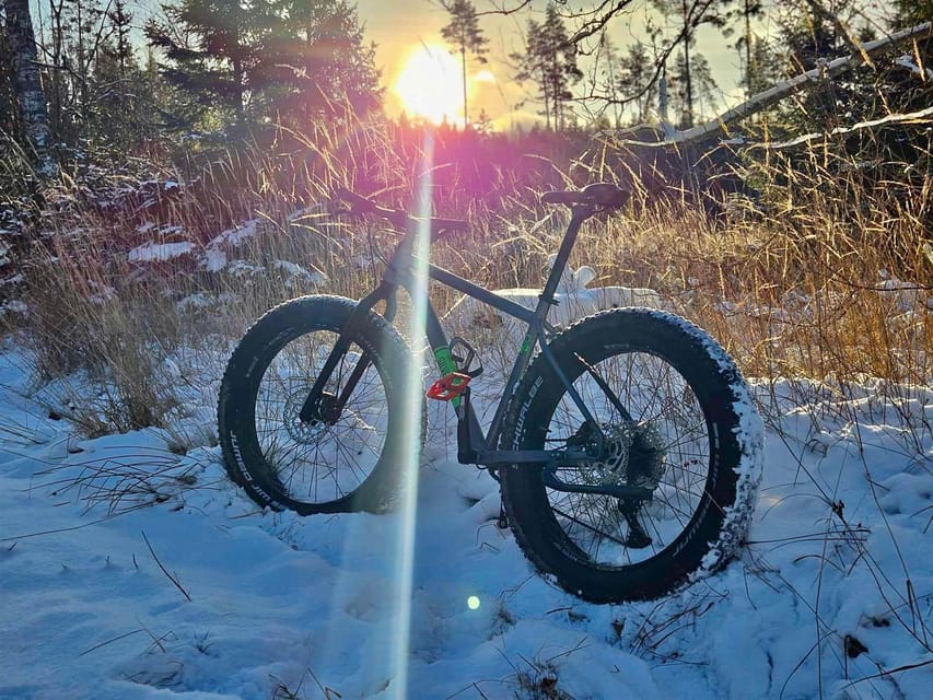 Stockholm: Fat Bike Forest Adventure with Lunch and Sauna - The Break Matters More Than You Might Expect