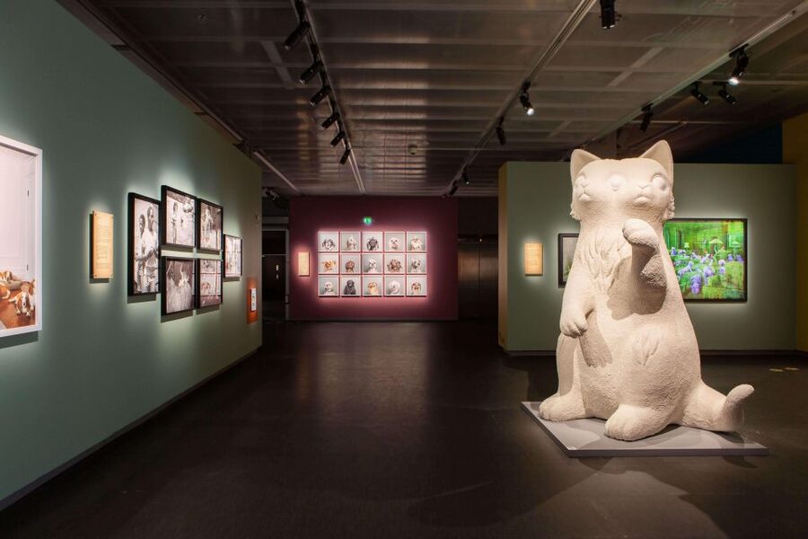 Stockholm: Fotografiska Museum Entrance Ticket - A simple plan for your visit