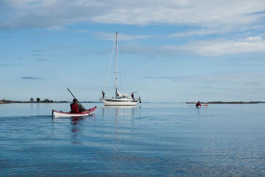 Stockholm: Full-Day Archipelago Kayaking Adventure - Swimming, cliff jumping, and wildlife