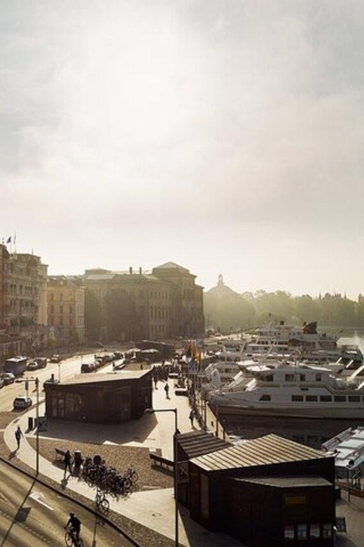 Stockholm: Must-See Attractions Walking Tour with a Guide - What the guide can add, and where the risk lies