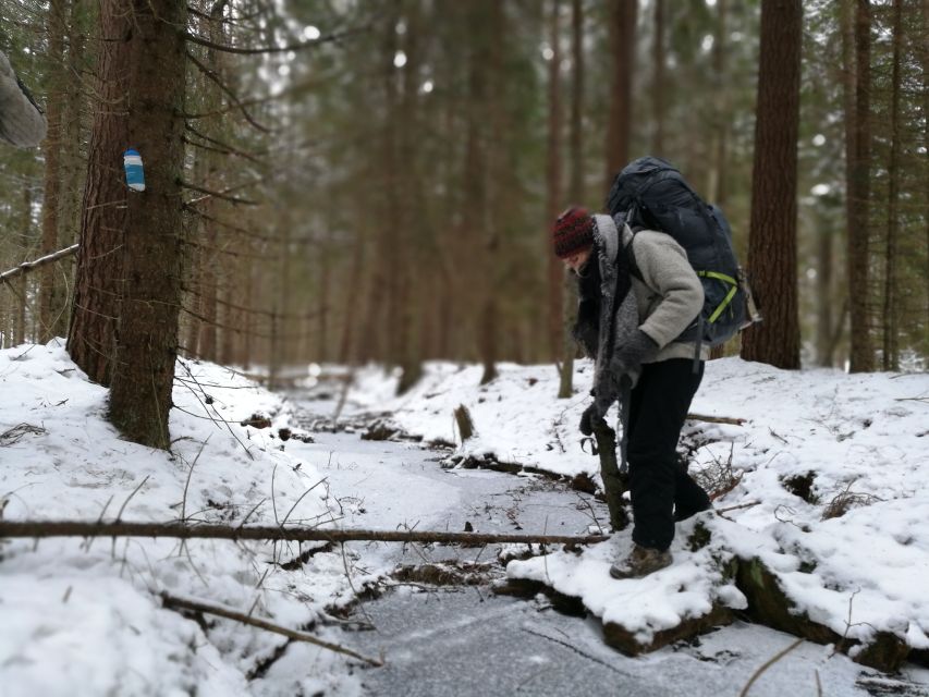 Stockholm: Nature Hike with Campfire Lunch - Leaving Stockholm for the forest