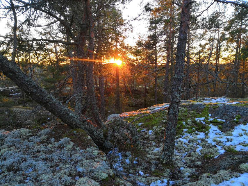 Stockholm: Nature Hike with Campfire Lunch - Torch lamps and the return to Stockholm