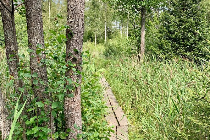 Stockholm: Nature Reserve Hiking Tour with Campfire Lunch - The second two-hour hike and seasonal changes