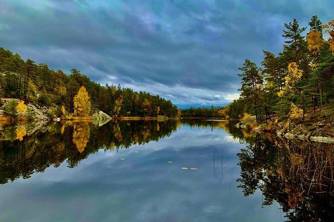 Stockholm: Nature Reserve Hiking Tour with Campfire Lunch - How much value does $142.80 offer?