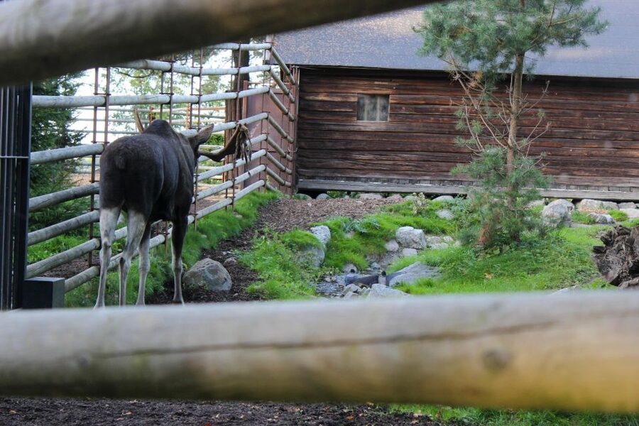 Stockholm: Personalized Guided Tour for Families - Should you book the Stockholm family tour?