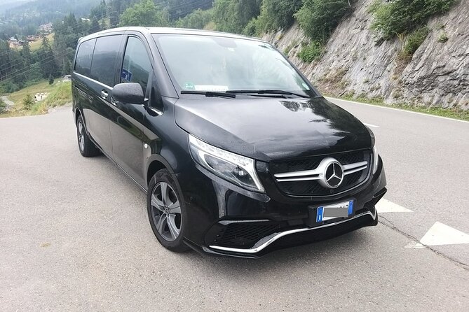 Stockholm Port to Stockholm hotels - Arrival Private Transfer - Driver service: what the positive experiences reveal