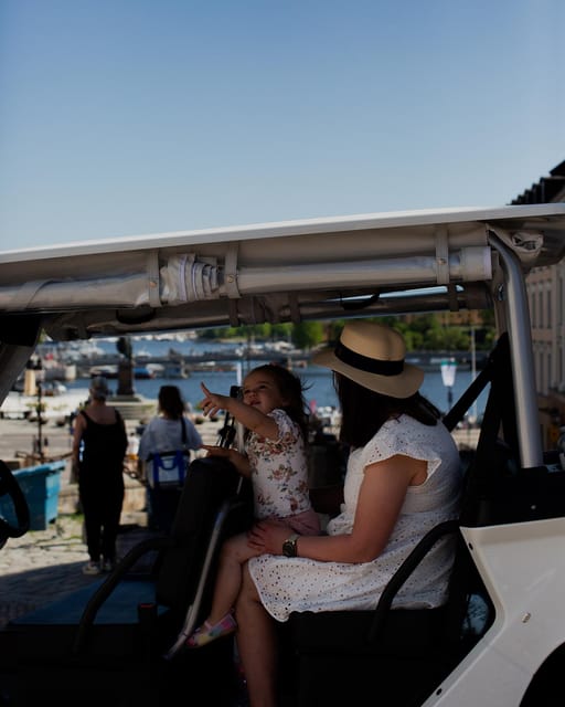Stockholm Private Golf Cart Tours - Djurgården: museums, shipyards, and old wooden homes