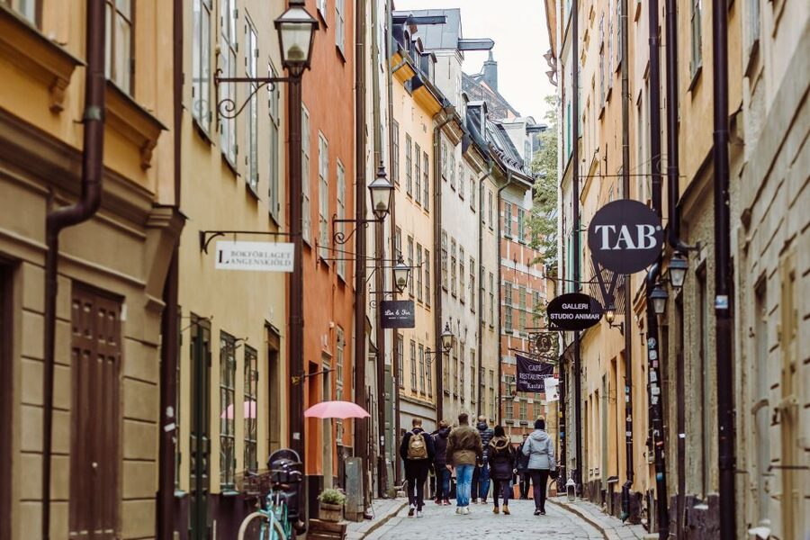 Stockholm Private Walking Experience with a Local Host 3-8hr - What the private format adds