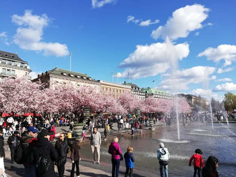 Stockholm: Scandinavian Architecture & Design Ostermalm Tour - Key details worth knowing