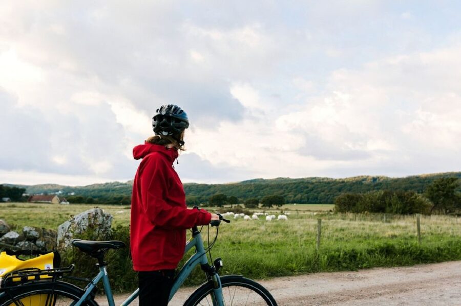 Stockholm: Self Guided GPS Bike Tour - Who should book this bike tour?