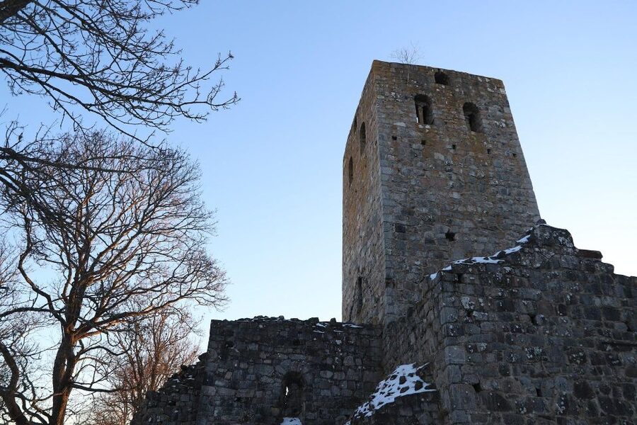 Stockholm: Sigtuna and Uppsala Viking History Day Tour - What this Viking day around Stockholm really covers