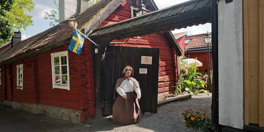 Stockholm: Sigtuna Guided Boat Tour with Optional Museum - Key points to know before you go