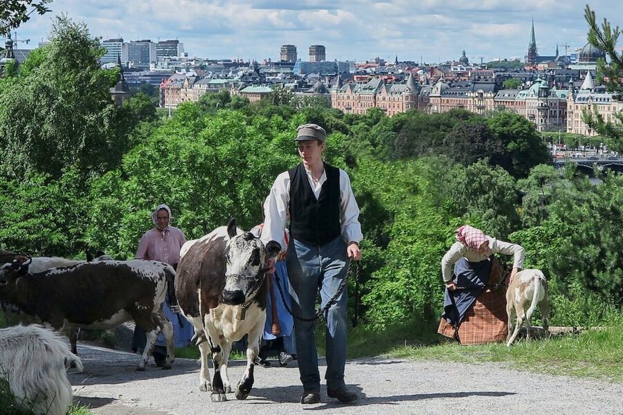 Stockholm: Skansen Open-Air Museum Admission Ticket - Key points at a glance