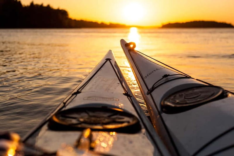Stockholm: Sunset Archipelago Kayaking & Toast on the Water - Wildlife watching from a kayak
