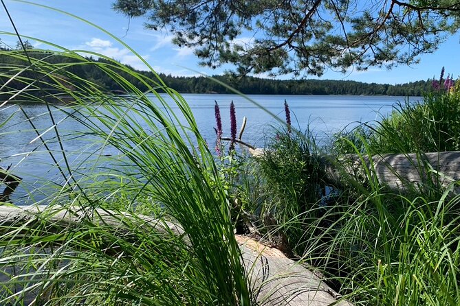 Stockholm: Sunset Hike in Tyresta National Park with Meal - The lakeside meal: fika with a Swedish setting