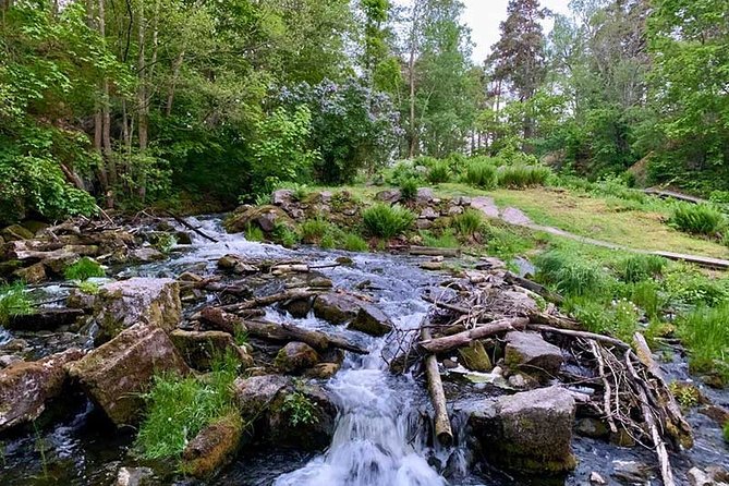 Stockholm: Sunset Hike in Tyresta National Park with Meal - Who should book this evening hike?
