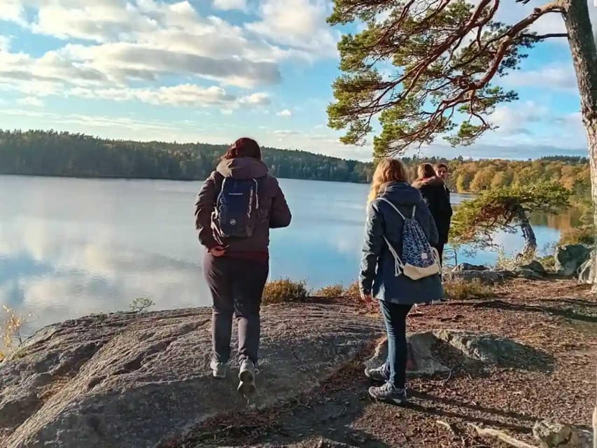 Stockholm: Sunset Hike in Tyresta National Park with Meal - Is this a good evening choice in Stockholm?