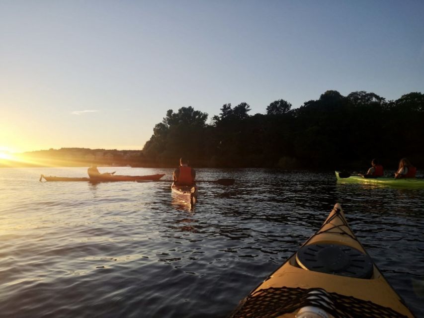 Stockholm: Sunset Kayak Tour in the City + Swedish Fika - Who should book this sunset paddle?