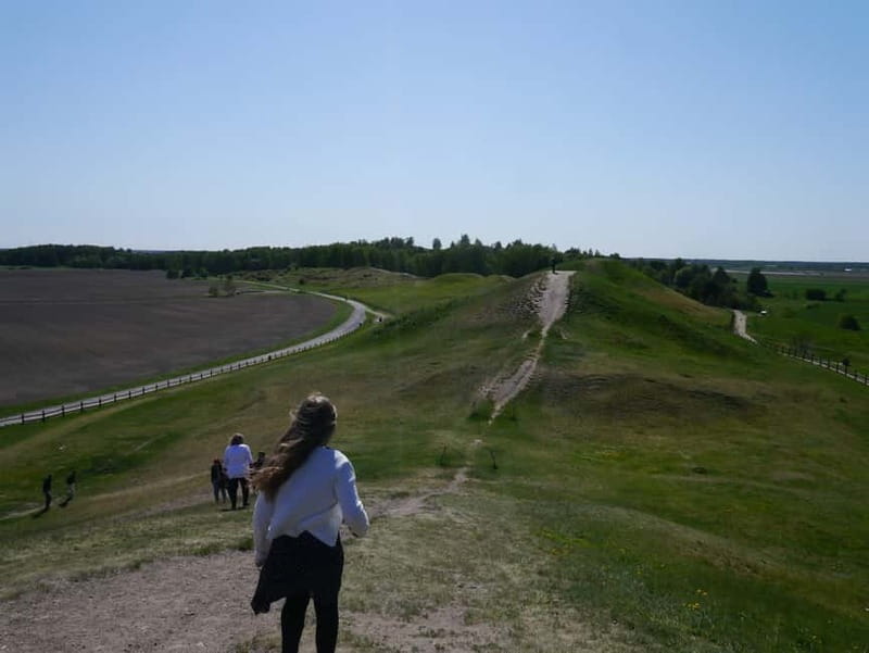 Stockholm Viking History Full Day Tour to Sigtuna + Uppsala - What $266 buys you