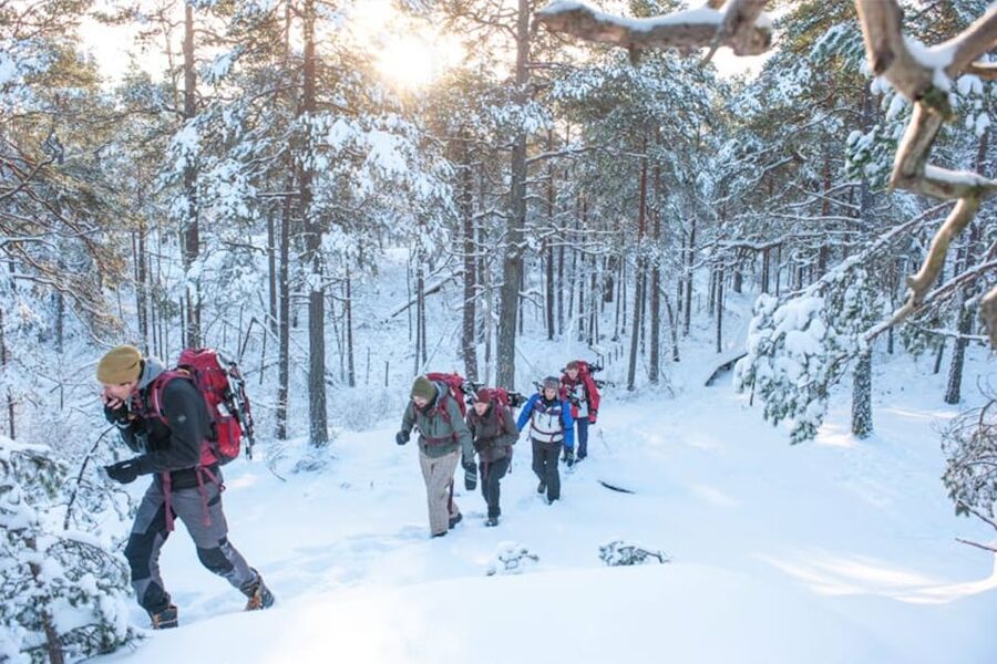 Stockholm: Winter Snowshoe Full-Day Hike - Key points to know before you book