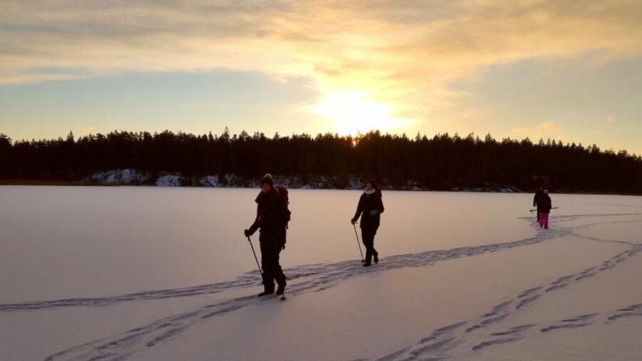 Stockholm: Winter Snowshoe Full-Day Hike - Forest trails, deer tracks, and frozen lakes