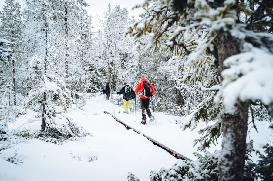 Stockholm: Winter Snowshoe Full-Day Hike - What to wear and what to carry