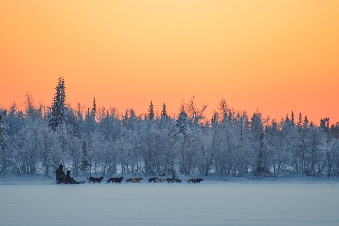 Sunrise Zen Husky Tour (10:00 to 13:00 - sitting on the sled) - Getting dressed for serious Arctic cold