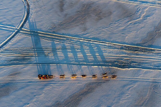 Sunrise Zen Husky Tour (10:00 to 13:00 - sitting on the sled) - Feeding the team and helping after the ride