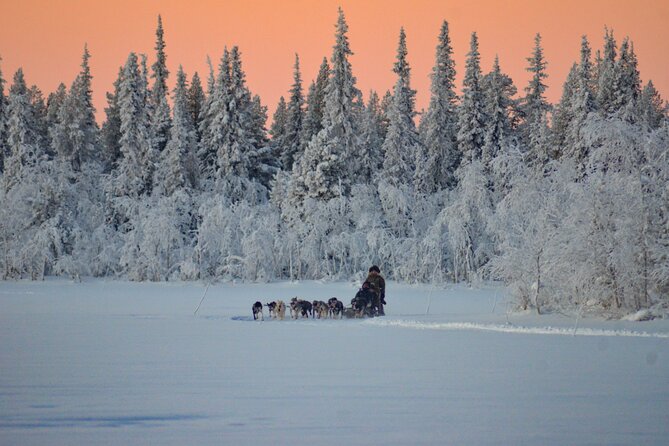 Sunrise Zen Husky Tour (10:00 to 13:00 - sitting on the sled) - The guide-led format and group size
