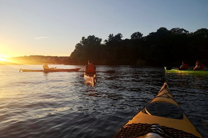 Sunset Kayak Tour in Central Stockholm and Swedish Fika - Seeing Stockholm from a lower, quieter angle