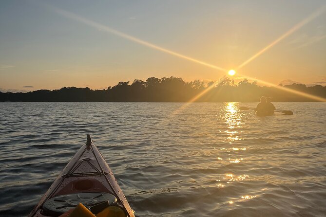 Sunset Kayak Tour in the Stockholm Archipelago + Swedish Fika - Why this kayak tour is different from city sightseeing