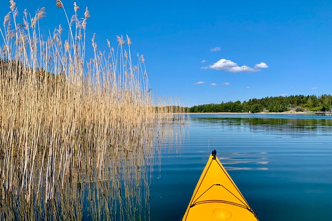 Sunset Kayak Tour in the Stockholm Archipelago + Swedish Fika - Equipment and guide quality