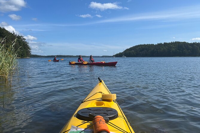 Sunset Kayak Tour in the Stockholm Archipelago + Swedish Fika - Who should book this experience?