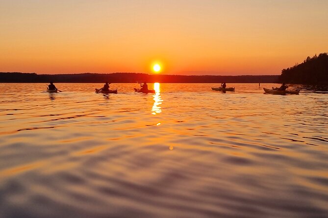Sunset kayak tour with fika on Stockholms lakeside - Key points to know before booking