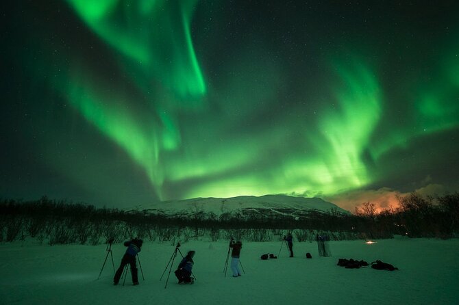The Ultimate Aurora Photo Adventure - What happens when the Northern Lights do not appear