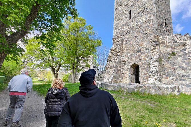 Viking History, Runes & Countryside 9h Tour to Sigtuna & Uppsala - Why this Viking tour works beyond Stockholm